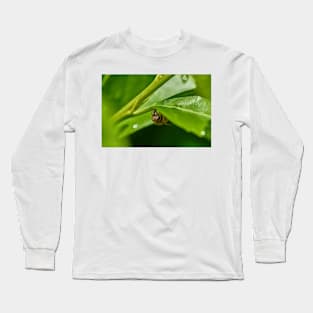 Drinking bee Long Sleeve T-Shirt